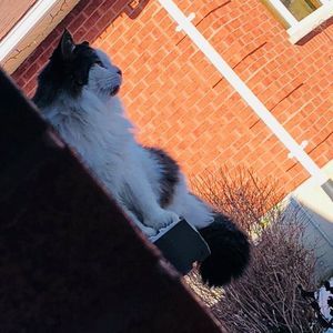 Meet your Posher, Jillian